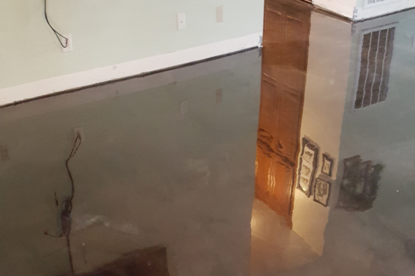 This image is the visual representation of Metalic floor finishes 11 in Epoxy Floors Pro.